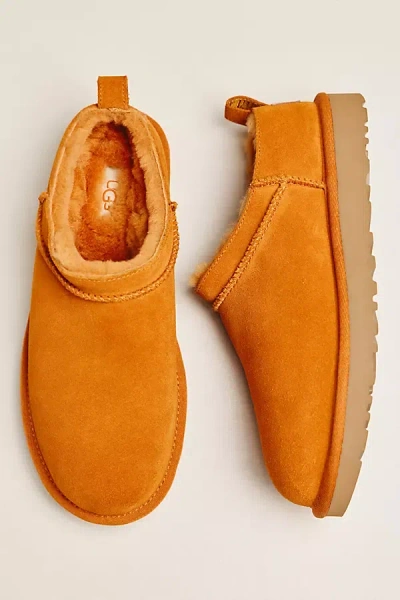 Ugg Classic Micro Boots In Orange