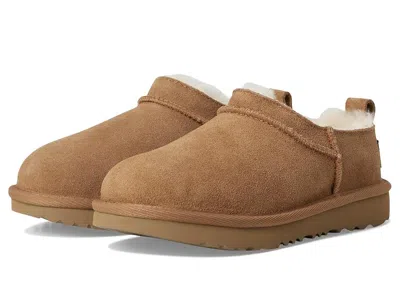 Ugg Classic Micro (little Kid/big Kid) Kids Shoes Chestnut : 5 Big Kid M, Suede In Brown