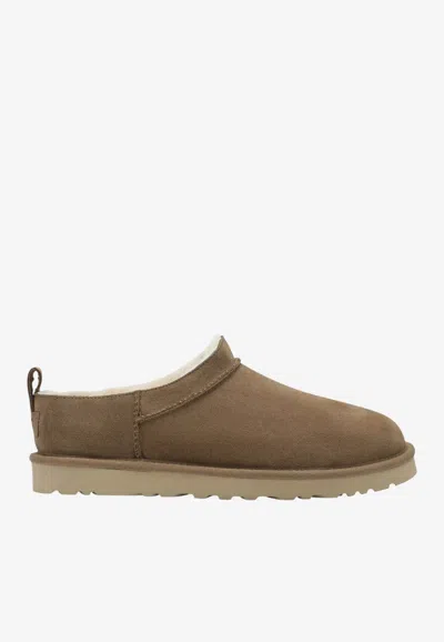 Ugg Classic Micro Loafer In Brown