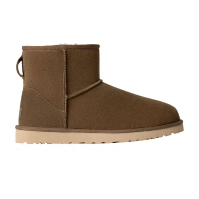 Pre-owned Ugg Classic Mini Boot 'hickory' | Brown | Men's Size 13