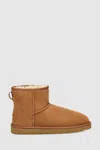 Ugg Biscuit Suede Classic Mini Ii Ankle Boots In Chestnut