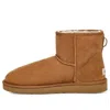 Ugg Classic Mini Fleece Lined Snow Boots In Brown