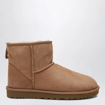 Ugg Classic Mini Ii Boots In Chestnut In Brown