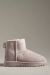 Ugg Classic Mini Ii Boots In Purple
