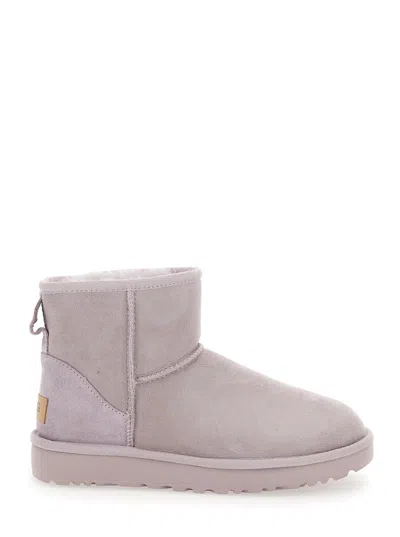 Ugg Light Gray 'mini' Boots In Suede Woman In Purple