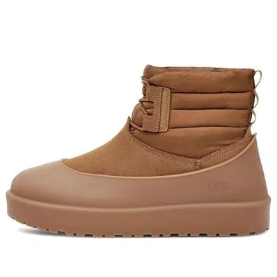 Ugg Classic Mini Lace-up Weather Boot 'chestnut'