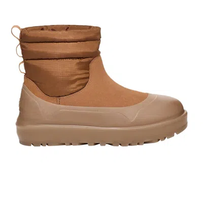 Pre-owned Ugg Classic Mini Mod Boot 'chestnut' | Tan | Men's Size 12 In Brown