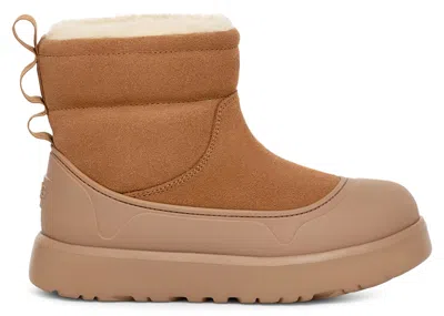Pre-owned Ugg Classic Mini Mod Boot (kids) Sneakers In Chestnut