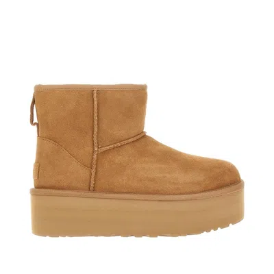Ugg 'classic Mini Platform' Beige Ankle Boots With Platform In Suede Woman In Brown