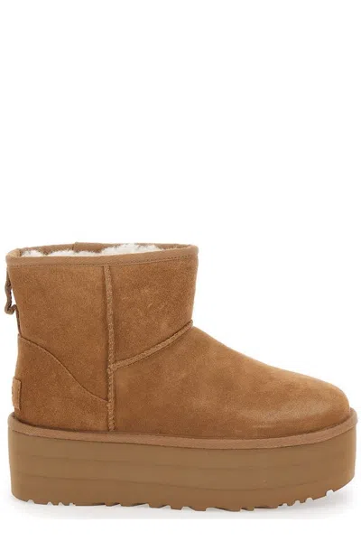 Ugg Classic Mini Platform Boots In Brown