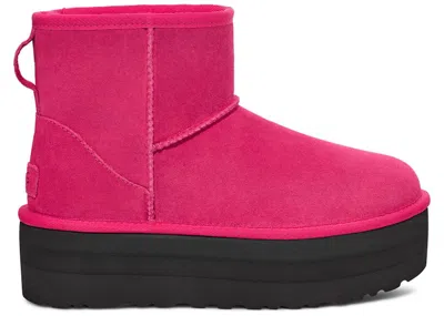 Pre-owned Ugg Classic Mini Platform Boot (women's) Sneakers In Radish