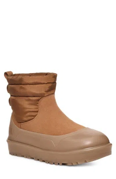 Ugg ® Classic Minimod Waterproof Wool Boot In Chestnut
