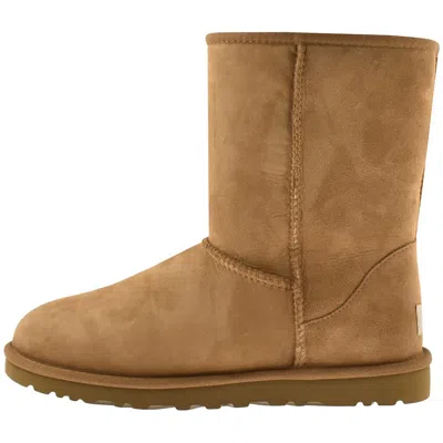 Ugg Classic Short Boots Brown