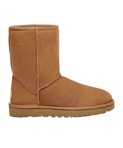 Ugg Classic Short Boots In Brown