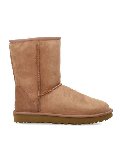 Ugg Classic Short Ii Boot In Brown