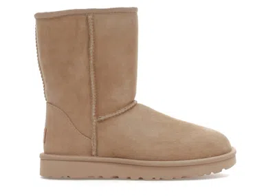 Pre-owned Ugg Classic Short Ii Boot (women's) Sneakers In Mustard Seed