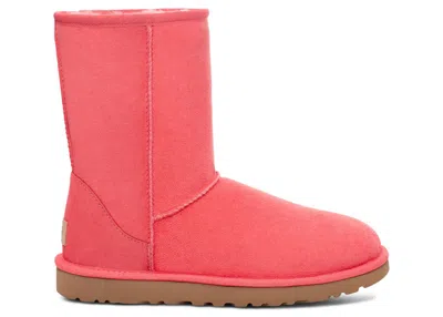 Pre-owned Ugg Classic Short Ii Boot (women's) Sneakers In Nantucket Coral