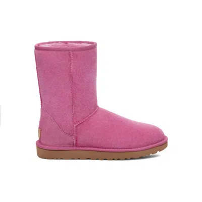 Ugg Classic Short Ii Purple Ruby W-1016223-prby Women's In Pink