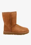 Ugg Suede Ankle Bootsusa Reference Sizes In Brown
