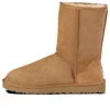 Ugg Classic Short Snow Boots In Brown