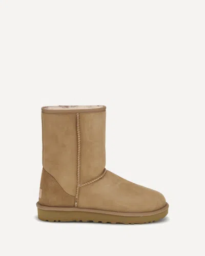 Ugg Classic Short Suede Boots In Beige