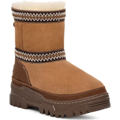 Ugg ® Classic Short Trailgazer Boot In Brown