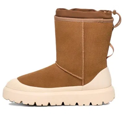 UGG UGG CLASSIC SHORT WEATHER HYBRID 'CHESTNUT WHITECAP'