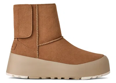 Pre-owned Ugg Classic Streetscape Boot (women's) Sneakers In Chestnut/mustard Seed