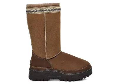 Pre-owned Ugg Classic Tall Trailgazer Boot (women's) Sneakers In Hickory