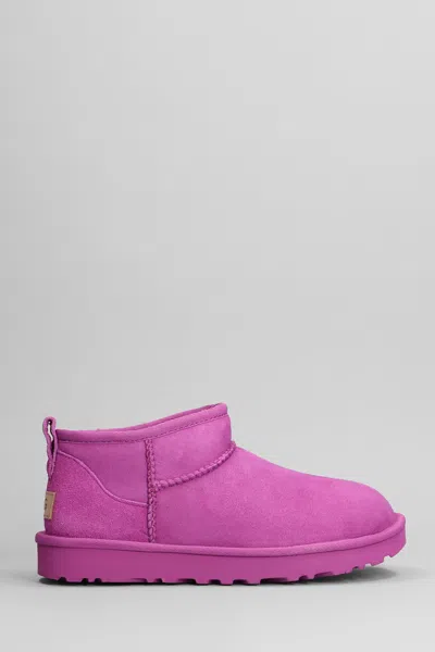 Ugg Classic Ultra Mini Low Heels Ankle Boots In Fuxia Suede In Purple