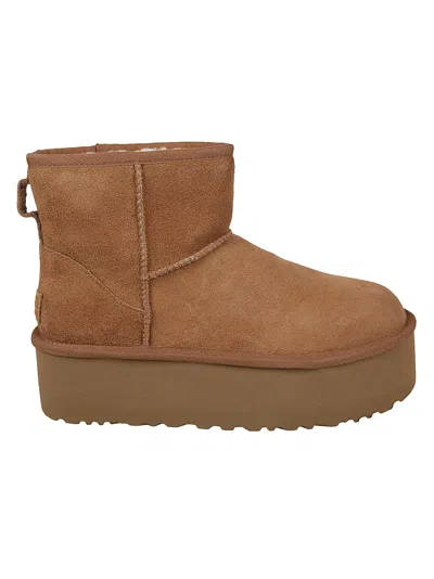 Ugg Classic Mini Platform Boots In Chestnut In Brown