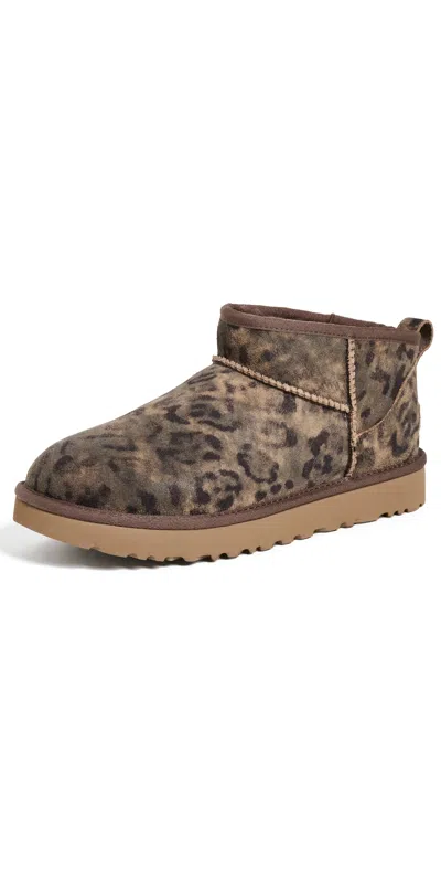 Ugg Classic Ultra Mini Spotted Boots Chestnut In Brown