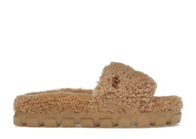 Pre-owned Ugg Cozetta Curly Slide (women's) Sneakers In Chestnut In Brown