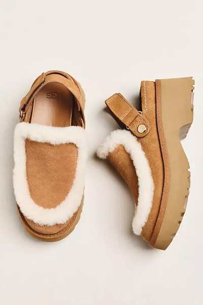 Ugg Esme Suede Slingback Clogs In Brown