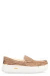 Ugg Ascot Wrap Tech Loafers In Brown