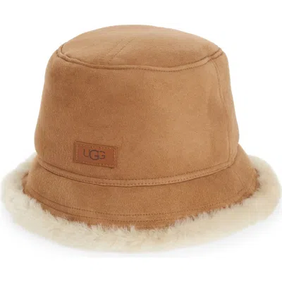 Ugg Genuine Shearling Bucket Hat In Chestnut