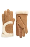 Ugg ® Genuine Shearling Exposed Curve Seam Gloves In Brown