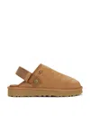Ugg Sabot Goldencoast Ii M Chestnut In Brown