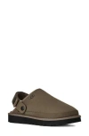 Ugg Sandals Goldencoast Ii The Man In The Gray Shorts In Dried Oregano
