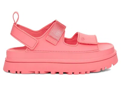 Pre-owned Ugg Goldenglow Sandal (women's) Sneakers In Tropical Pink