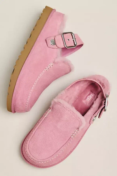 Ugg Goldenstar Evelina Clogs In Pink