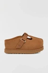 Ugg Women S Goldenstar Hi Clogs Chestnut In Chestnut