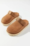 Ugg Goldenstar Suede Clogs In Chestnut
