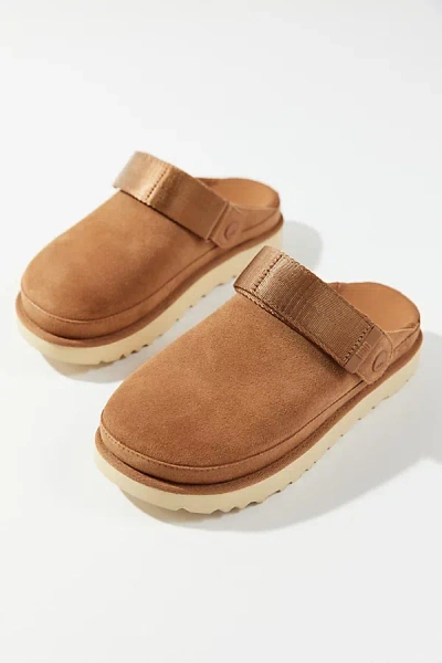 UGG WOMEN'S GOLDENSTAR SUEDE CLOG IN CHESTNUT, WOMEN'S AT URBAN OUTFITTERS
