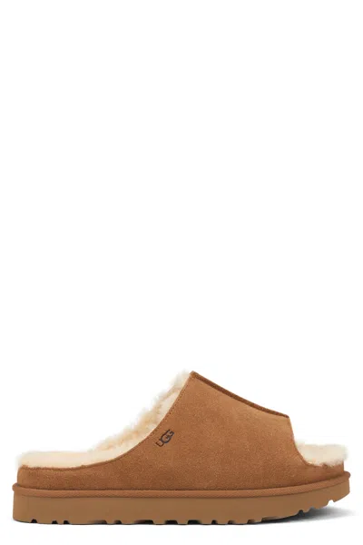 Ugg Greenport Sheepskin Slippers For Women In Brown