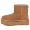 Ugg Classic Mini Platform Boots In Chestnut-brown In Brown