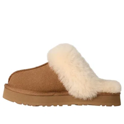 Ugg (gs)  Disquette 'chestnut' In Brown