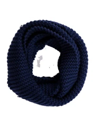 Pre-owned Ugg Infinity Scarf In Blue