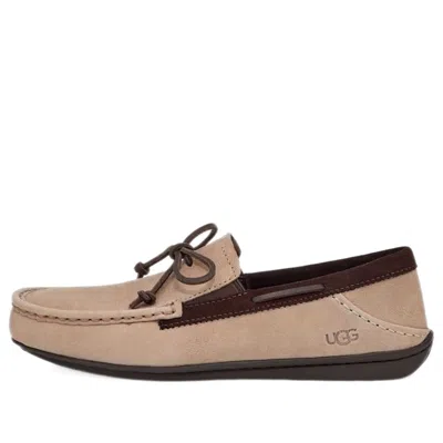 Ugg Karson Ts Cozy Athleisure Casual Sports Shoe Gray In Neutral