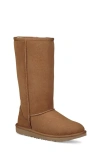 Ugg Classics Tall Ii "chestnut" Boots In Chestnut